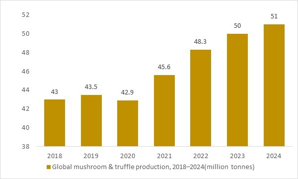Global mushroom and truffle production 2018–2024 as key fungal biomass base for Coriolus versicolor extract&medicinal markets