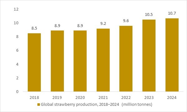 Global strawberry production 2018–2024 in million tonnes showing growing fruit base supporting the strawberries market