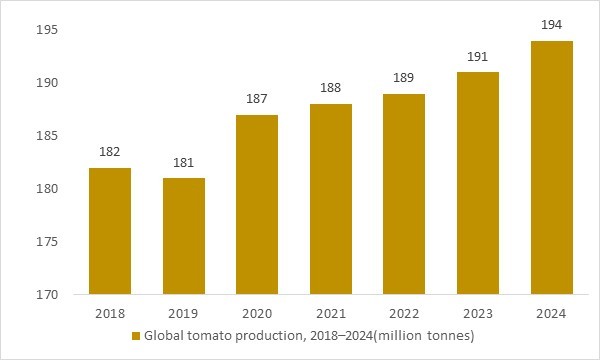 Global tomato production 2018–2024e as a key vegetable base for tomato-based soups and processed soup ingredients
